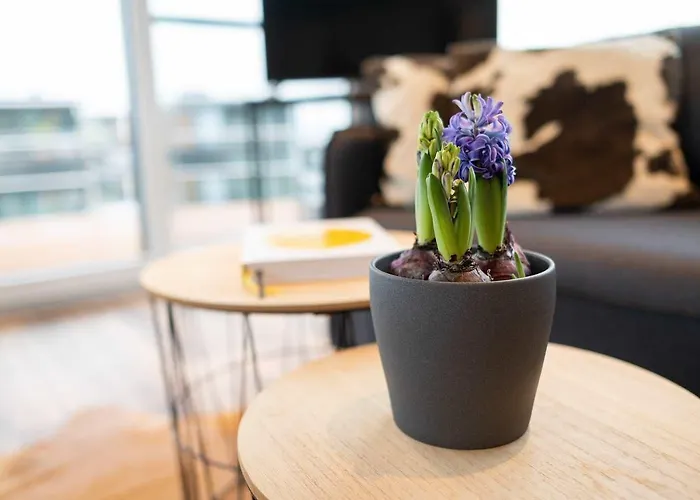 船屋 Hausboot Atlantis